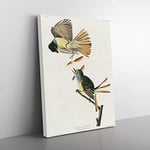 Great Crested Flycatcher Birds By John James Audubon Vintage Canvas Wall Art Print Ready to Hang, Framed Picture for Living Room Bedroom Home Office Décor, 50x35 cm (20x14 Inch)