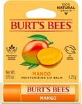 Baume à lèvres hydratant à la mangue Burts Bees pour baume à lèvres unisexe 0,15 oz