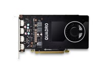 NVIDIA Quadro P2200 - Carte graphique - Quadro P2200 - 5 Go GDDR5X - PCIe 3.0 x16 - 4 x DisplayPort - pour Workstation Z2 G4 (MT), Z2 G5 (tour), Z4 G4, Z6 G4, Z8 G4; ZCentral 4R