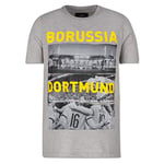 Borussia Dortmund, T-shirt for children exclusive collection, grey, 164