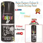 RAPIDE PF COLOUR IT Spray Paint Jet Black Gloss Paint Factory Quick Drying 250ml