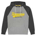 Borussia Dortmund Sweat à Capuche BVB Explorer Gris - Club de Jeu de Balle de la Collection Explorer - Taille L, Anthracite, L