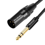 XLR Mâle vers 6,35mm TRS Jack Cable, Câble 6,35 mm (1/4 pouce) TRS vers XLR mâle, pour Guitare Microphone, Amplifier, Hautparleur, Carte Son etc. (Male, 3M)