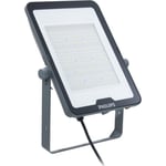 Ledinaire Floodlight Large BVP169 15000lm/830-840-865 135W Asym