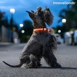 Bigbuy LED-halsband för husdjur