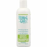 Dandruff & Dry Scalp Shampoo 8.5 Oz By Herbal Glo