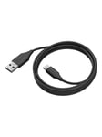 PanaCast - USB-C cable - 24 pin USB-C to USB Type A - 2 m