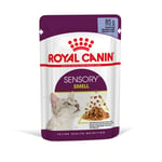 Royal Canin Sensory Smell i gelé - 12 x 85 g