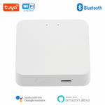 Tuya Zigequation-airies de passerelle multimode,Bluetooth Mesh,capteur de passerelle Zigbee,contrôle de la vie intelligente,fonctionne avec Alexa et Google Home - Type Bluetooth Gateway