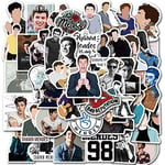 Shawn Mendes Premium Vinyl Stickers Decals For Laptops, Phones, Phone Case, Consoles, Walls, Luggage Case, Books, Bottle - 50 Stickers (1 each design)