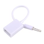 3.5mm Male AUX Audio Plug Jack to USB 2.0 Female Converter Cable MP3 Adapter ee