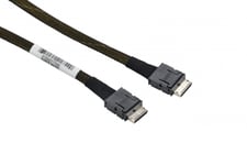 Supermicro - Sas Internt Kabel - Oculink Til Mini Sas Hd (Sff-8643) - 76 Cm