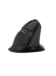 DeLUX Wireless Vertical Mouse Delux M618Mini BT+2.4G RGB 4000DPI (Iron Gray) - Vertical mouse - Optisk / gyroskopiska - 6 knappar - Svart