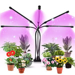 Aogled Lampe LED Horticole 50W,5 Têtes Lampe Pour Plante avec Clip 150LEDs avec 360° Adjustable,3/9/12H Cycle Minuterie,3 Modes&10 Luminosité,Grow Light Pour la Croissance des Plantes