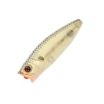 Leurre Sakura Pop'N Dog Stripped Shad 100 5,5cm 7,7g pêche surface popper