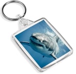 Great White Shark Keyring Sea Ocean Diver Marine Predator Fun Keyring Gift #8474