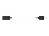 Lenovo Usb-C To Slim-Tip Cable Adapter - Adapter För Effektkontakt - 24 Pin Usb-C Hona Till Ström Hane