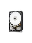 HGST Ultrastar He10 - 10TB - Hårddisk - 1EX0212 - SATA-600 - 3,5"