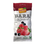 Torkad Frukt Exotic Snacks Bara Jordgubb Hallon Svartvinbär 55g