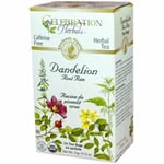 Organic Dandelion Root Raw Tea 24 Bags By Celebration Herbals