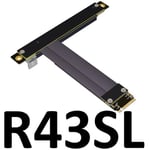 15cm R43SL(POWER CABLE) Convertisseur M2 NGFF NVMe vers carte graphique PCIE x16, adaptateur intégré, extension M.2 mkey, câble plat Flexible pci-e 16x Nipseyteko