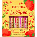 Burt's Bees Bee Mine Lip Balm Gift Set