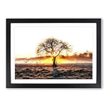 Big Box Art Sunlight Through The Oak Tree in Abstract Framed Wall Art Picture Print Ready to Hang, Black A2 (62 x 45 cm)