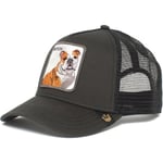 Mesh Animal Broderad Hat Snapback Hat Hund dog