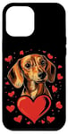 Coque pour iPhone 12 Pro Max Coeurs de teckel pour la Saint-Valentin