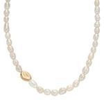 Skagen Agnethe Pearl SKJ1824710 Women's Necklace Gold Stainless Steel, Length: 400+50MM, Width: 11.8MM, Stainless Steel, No Gemstone