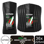 Lynx Africa Shower Gel Body Wash 12H Refreshing Fragrance for Men 225ml, 36 Pk