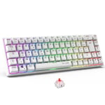 The G-Lab - Keyz Titanium WL - Clavier Gaming sans Fil 65% AZERTY - Clavier Mecanique Switch Rouge, RGB 100% Personnalisable, Macros programmables - Clavier Gamer sans Fil PC, PS4, PS5, Xbox – Blanc