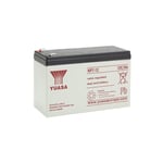 Yuasa - Batterie plomb étanche NP7-12 12V 7ah