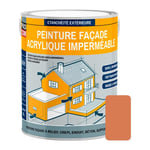 Peinture façade Procom crépi, façade à relief, imperméabilisation et protection des façades - Durable jusqu'à 10 ans Argile (ral 050 60 40) 2.5 litres