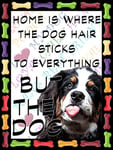 Shawprint Bernese Mountain Dog Fridge Magnet 100mm x 75mm HOME IS WHERE THE DOG HAIR STICKS TO EVERYTHING BUT THE DOG Novelty Gift