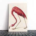 Big Box Art Canvas Print Wall Art John James Audubon Flamingo | Mounted and Stretched Box Frame Picture | Home Decor for Kitchen, Living, Dining Room, Bedroom, Hallway, Multi-Colour, 24x16 Inch