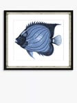 Brookpace Lascelles 'Blue Fish 1' Framed Print & Mount, 36 x 46cm, Blue