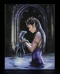 Petite Toile - Eau Dragon By Anne Stokes - Fantasie Affiche Pression Image Déco