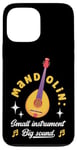 iPhone 13 Pro Max Mandolin Small Instrument Big Sound Mandolin Player Musician Case