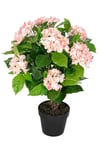 Hydrangea Bush Artificial Plant with Pot, 70 cm