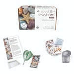 Lagoon About The Seashore Nature Kit Rockpools and Beaches – Educational – New