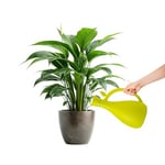 Zendea Arrosoir pour plantes en plastique vert résistant 13,2 x 10,5 cm - Idéal pour prendre soin des plantes et des fleurs dans le jardin, le balcon ou la terrasse - Bec long et fin et capacité 1,6 L