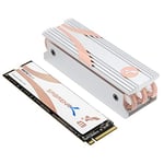 SABRENT M.2 NVMe SSD 4To Gen 4 avec radiateur, SSD Interne 4900Mo/s en Lecture, PCIe 4.0 2280, Disque Dur Interne Haute Performance, Compatible avec Les PC, Laptops and Desktops, NUC (SB-RKTQ4-4TB)