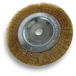 Brosse circulaire laiton ø 175 mm Epaisseur 1 rang Fil dur 0.30 mm ondulé Alésage 20 mm + réducteur bague 16/12 mm Touret meuleuse affûteuse ponceuse