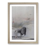 Big Box Art Cow at The Rivers Edge by Hashimoto Gaho Framed Wall Art Picture Print Ready to Hang, Oak A2 (62 x 45 cm)