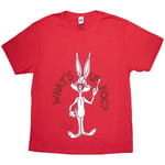 Looney Tunes - T-Shirts - X-Large - Short Sleeves - What's UpDoc - R500z