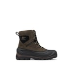 Sorel Buxton™ Lace Boot WP - Bottes de neige homme Major / Black 43.5