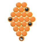 Small Orange Planning Office Magnets for Fridge, Whiteboard, Noticeboard, Filing Cabinet - Pack of 24