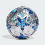 adidas UCL Training 23/24 Group Stage Foil Ball Unisex