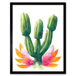 Colourful Cactus Plant In Flower Painting Art Print Framed Poster Wall Decor 12x16 inch